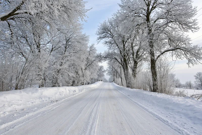 Snow-covered rural road stretching into the distance flanked by snow-laden trees