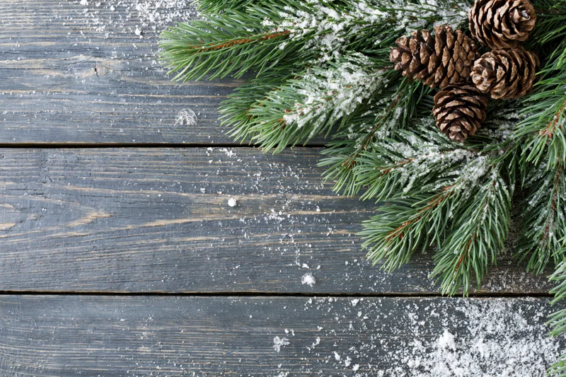 Snow-dusted pine branches with pinecones arranged on a dark wooden table, top view, corner placement