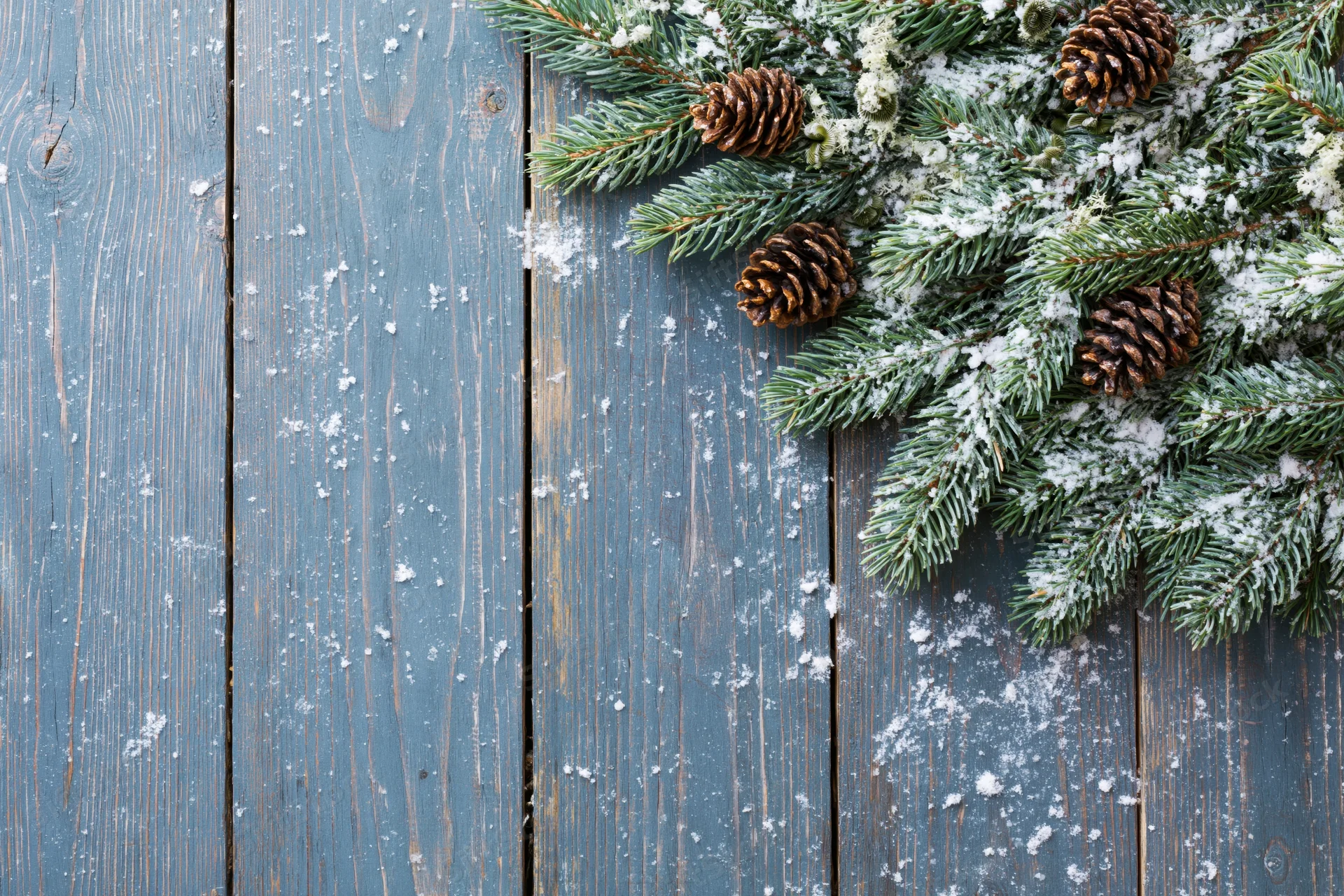 Snow-dusted pine branches with pinecones arranged on a blue wooden deck