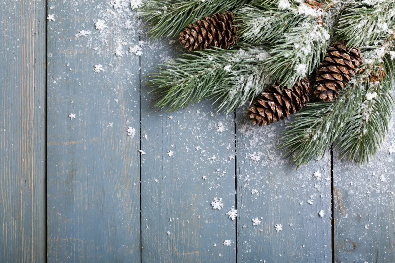 Snow-dusted pine branches with pinecones arranged on a blue wooden surface