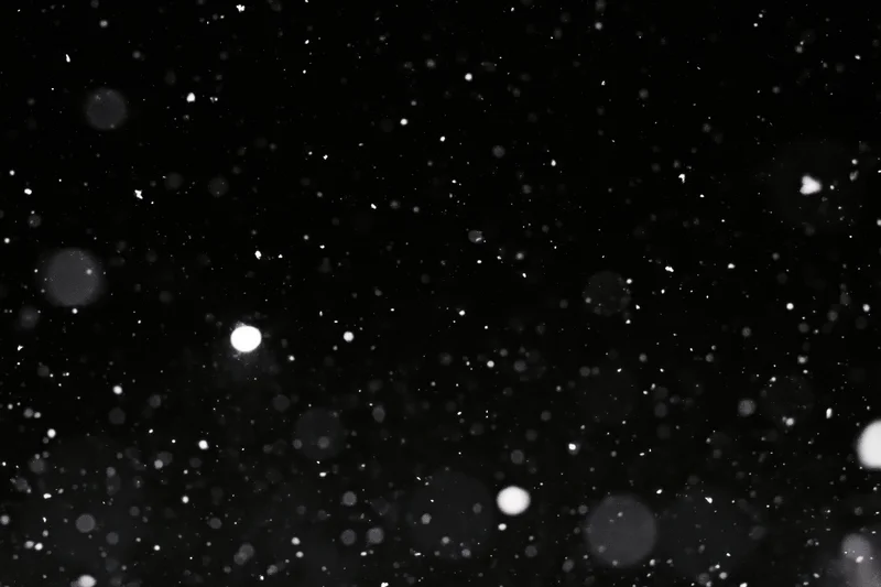 Snow falling against a black night sky