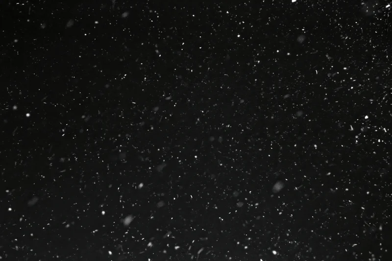 Snow falling against a black night sky