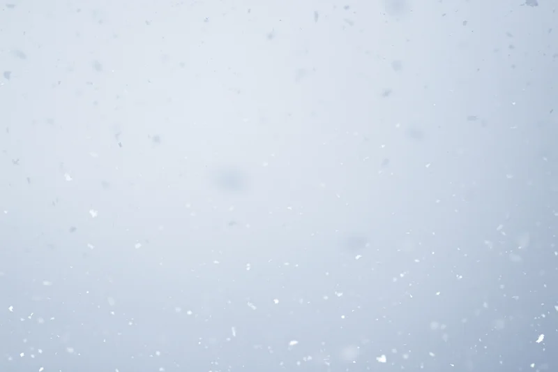 Snowflakes falling against a pale grey-white sky