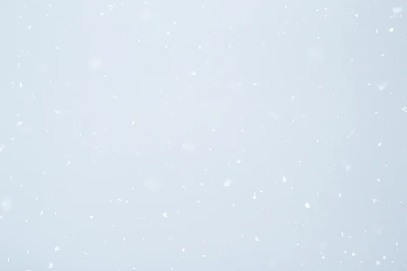 Snowflakes falling against a pale grey-white sky