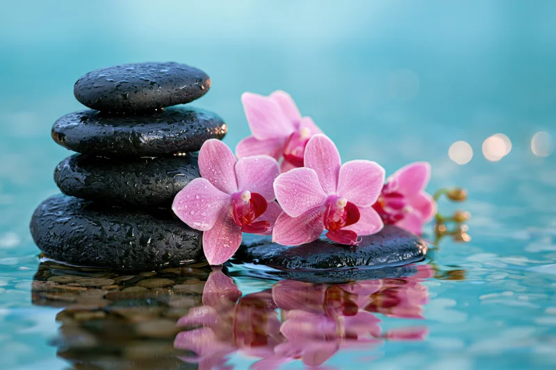 Stacked black spa stones beside pink orchids floating on water with reflection
