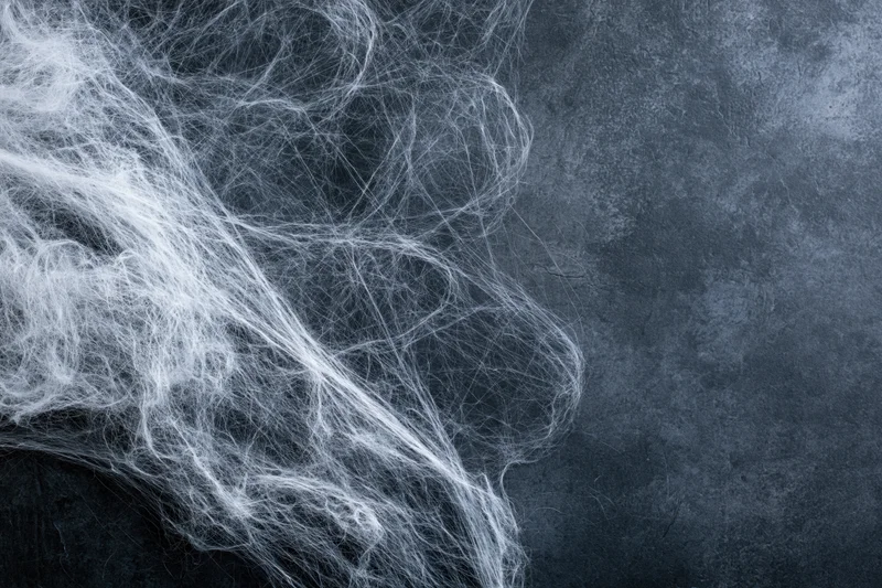 Tangled white cobweb draped across dark textured surface with copyspace on right