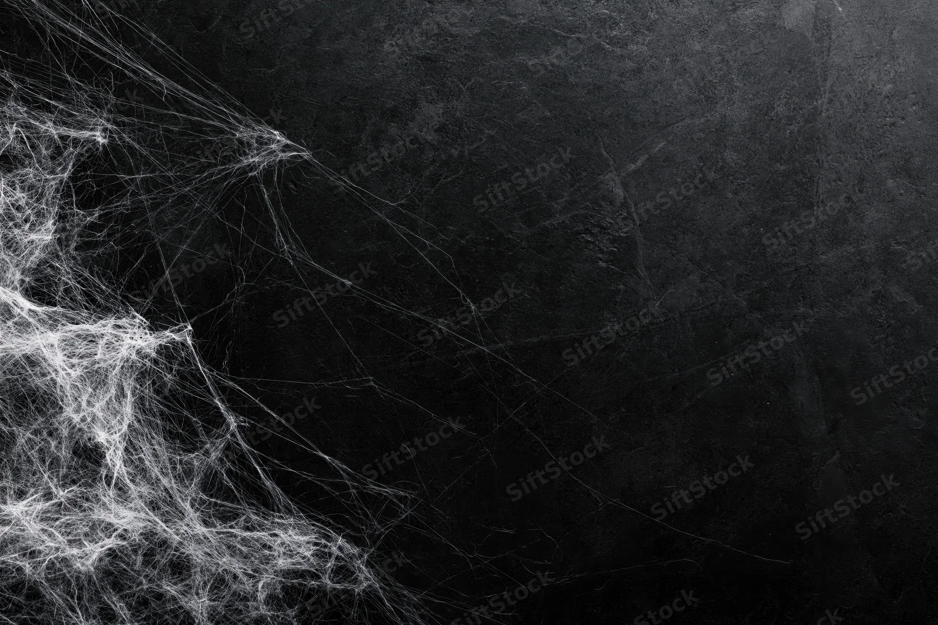 Tangled white cobweb draped across the lower-left corner of a dark textured surface