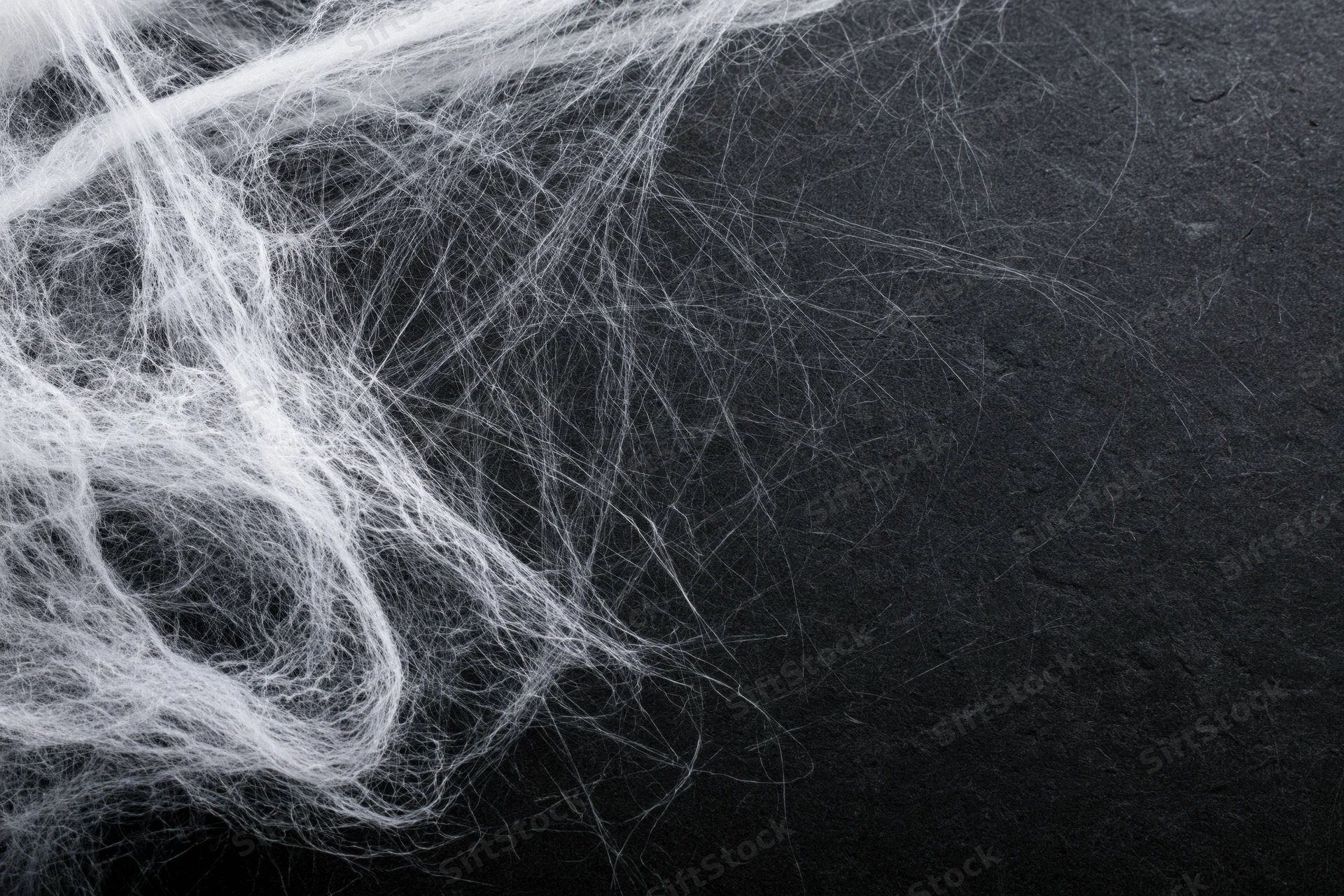 Tangled white cobweb draped across dark surface in closeup view