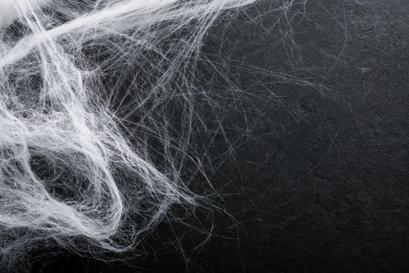 Tangled white cobweb draped across dark surface in closeup view