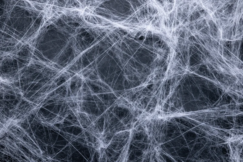 Tangled white spider webs stretched across a dark charcoal surface