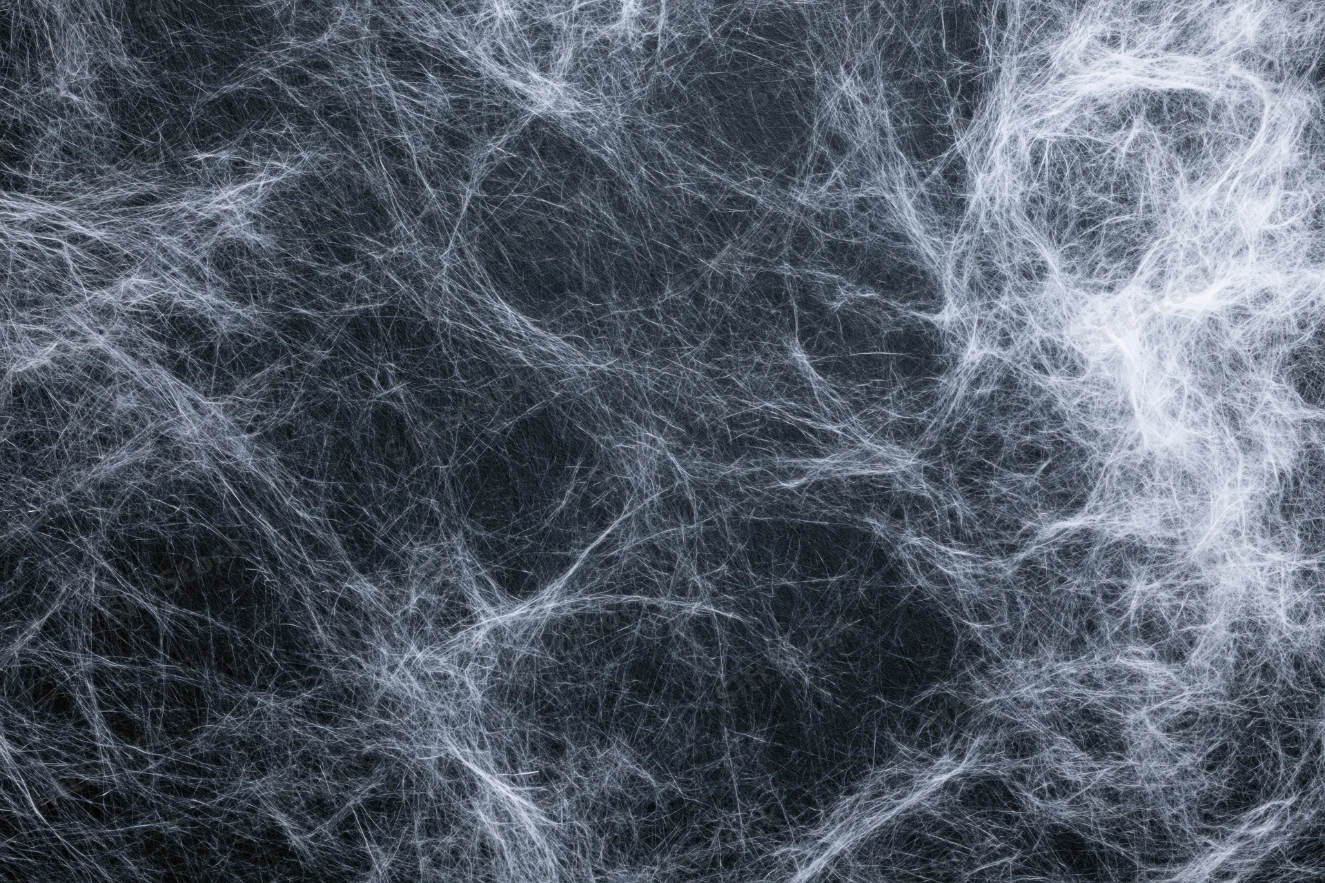 Tangled white spider webs spread across a dark charcoal surface