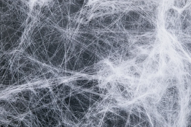 Tangled white spider webs stretched across a dark charcoal surface