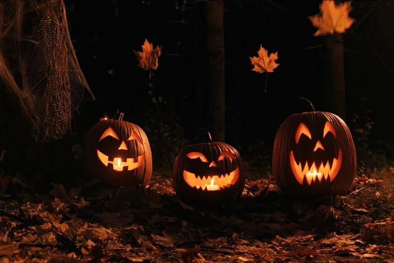 Three carved jack-o-lanterns glowing in a dark forest at night surrounded by fallen autumn leaves