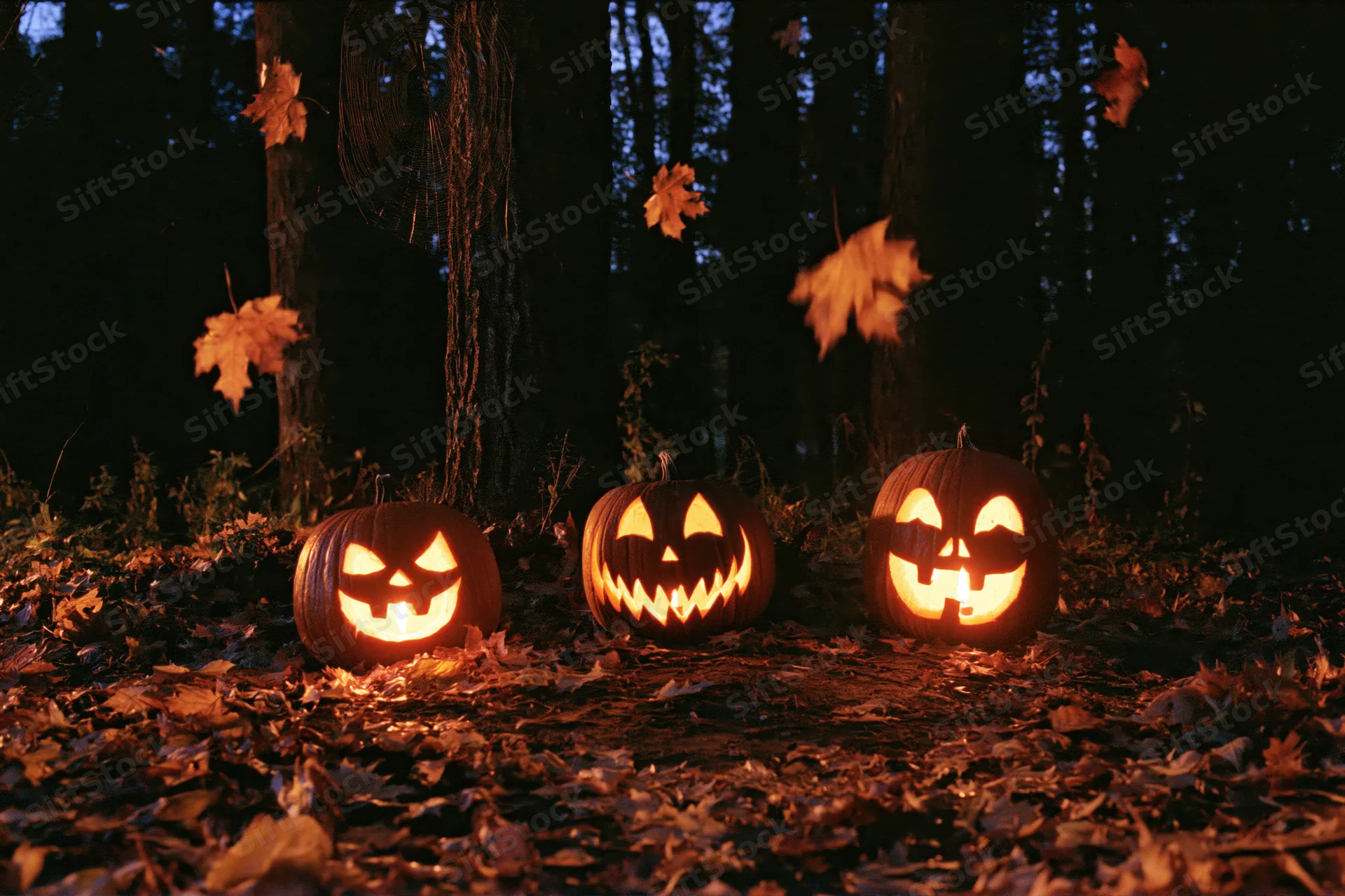 Three carved jack-o-lanterns glowing on a leaf-covered forest floor at night
