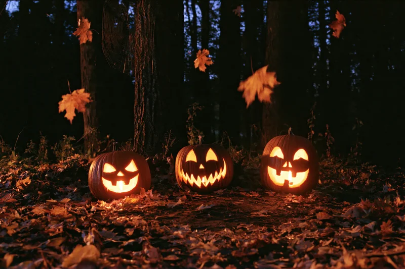 Three carved jack-o-lanterns glowing on a leaf-covered forest floor at night