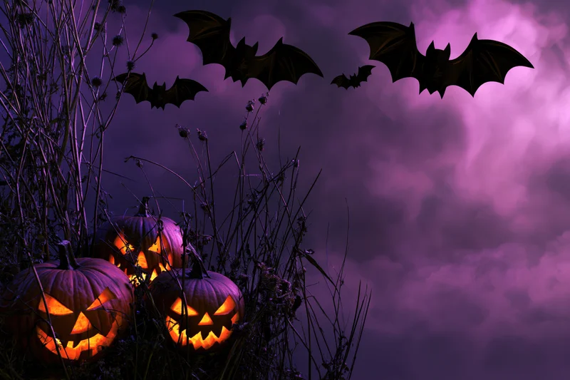 Three carved jack-o-lanterns glowing among dry wild stems under a purple sky with flying bats