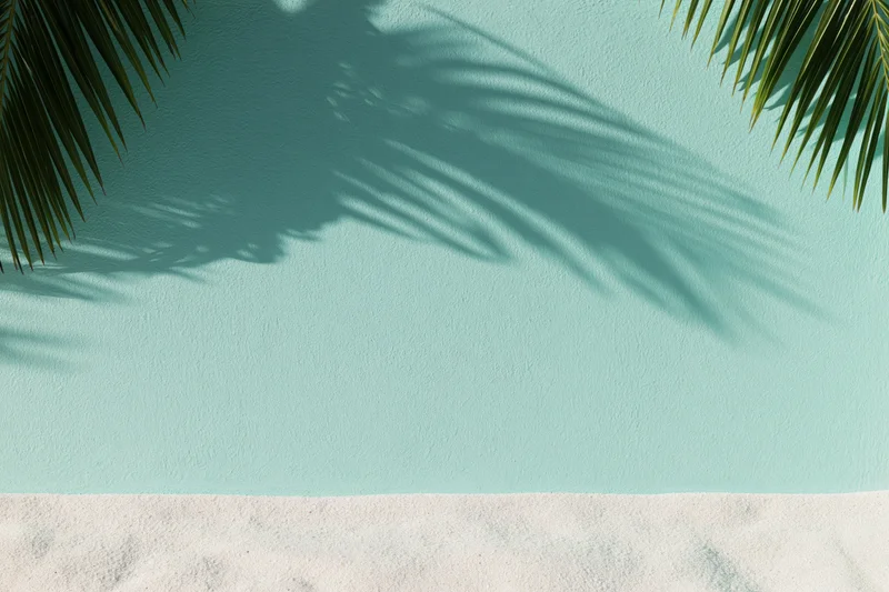 Palm fronds casting shadows on a turquoise wall above white sand