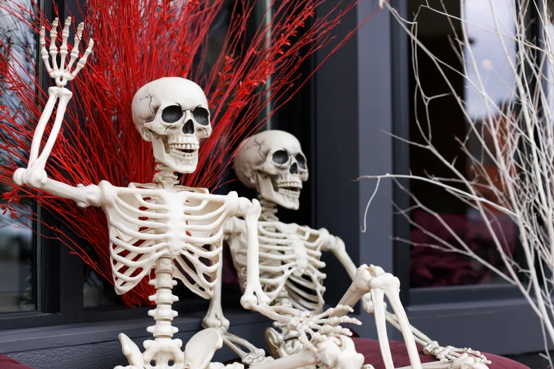 Two plastic skeletons posed in front of a storefront window with red and white branches for halloween decoration