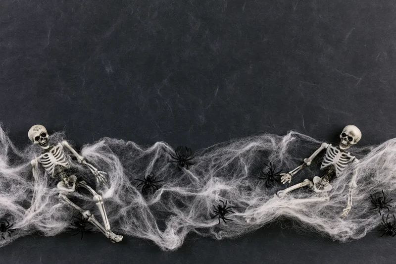 Two small plastic skeleton figurines tangled in white cobweb with black spiders on dark surface