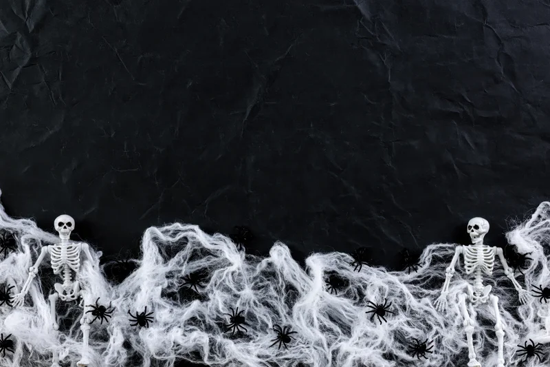 Two small plastic skeleton figurines tangled in white cobwebs with black spiders along the bottom edge of a dark crumpled black background