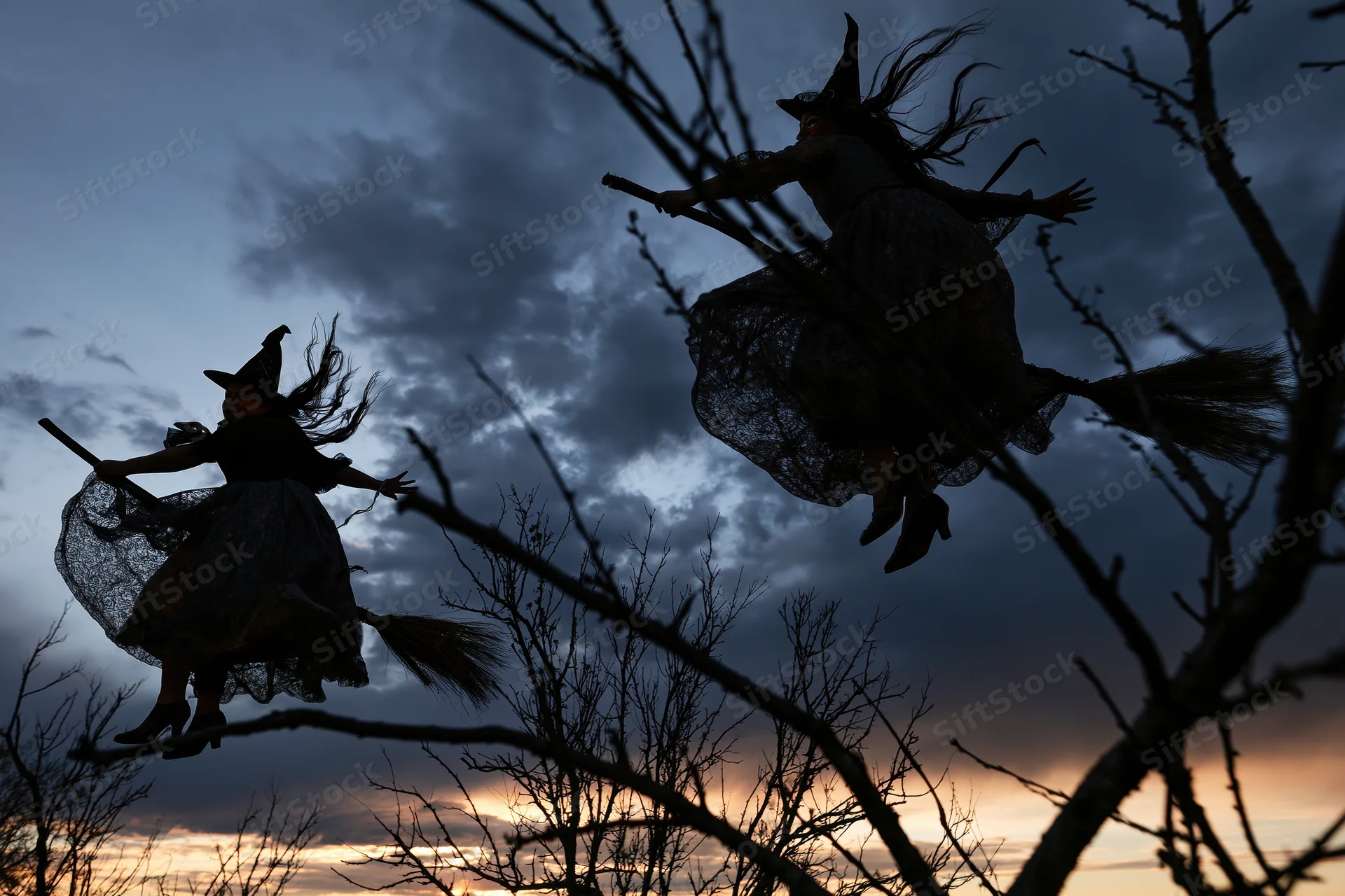 Two women in witch costumes flying on broomsticks silhouetted against a cloudy twilight sky with bare tree branches in the foreground