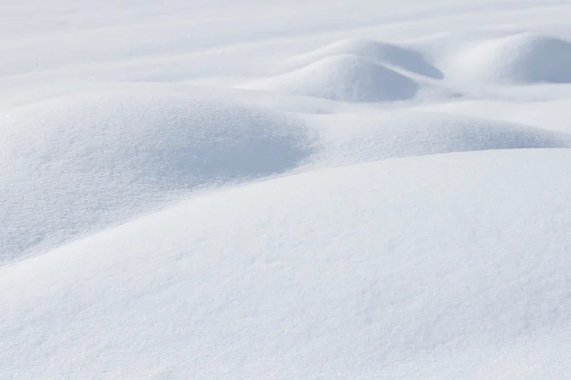 Undisturbed snow surface with gentle rounded drifts and soft texture in a winter landscape