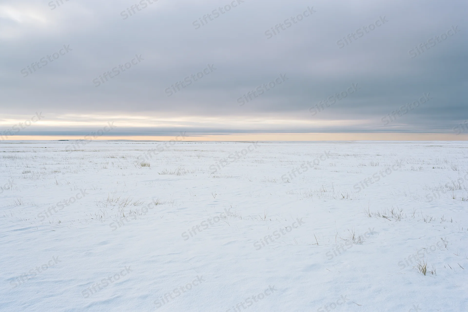 Snow-covered flat field stretching to the horizon under overcast sky