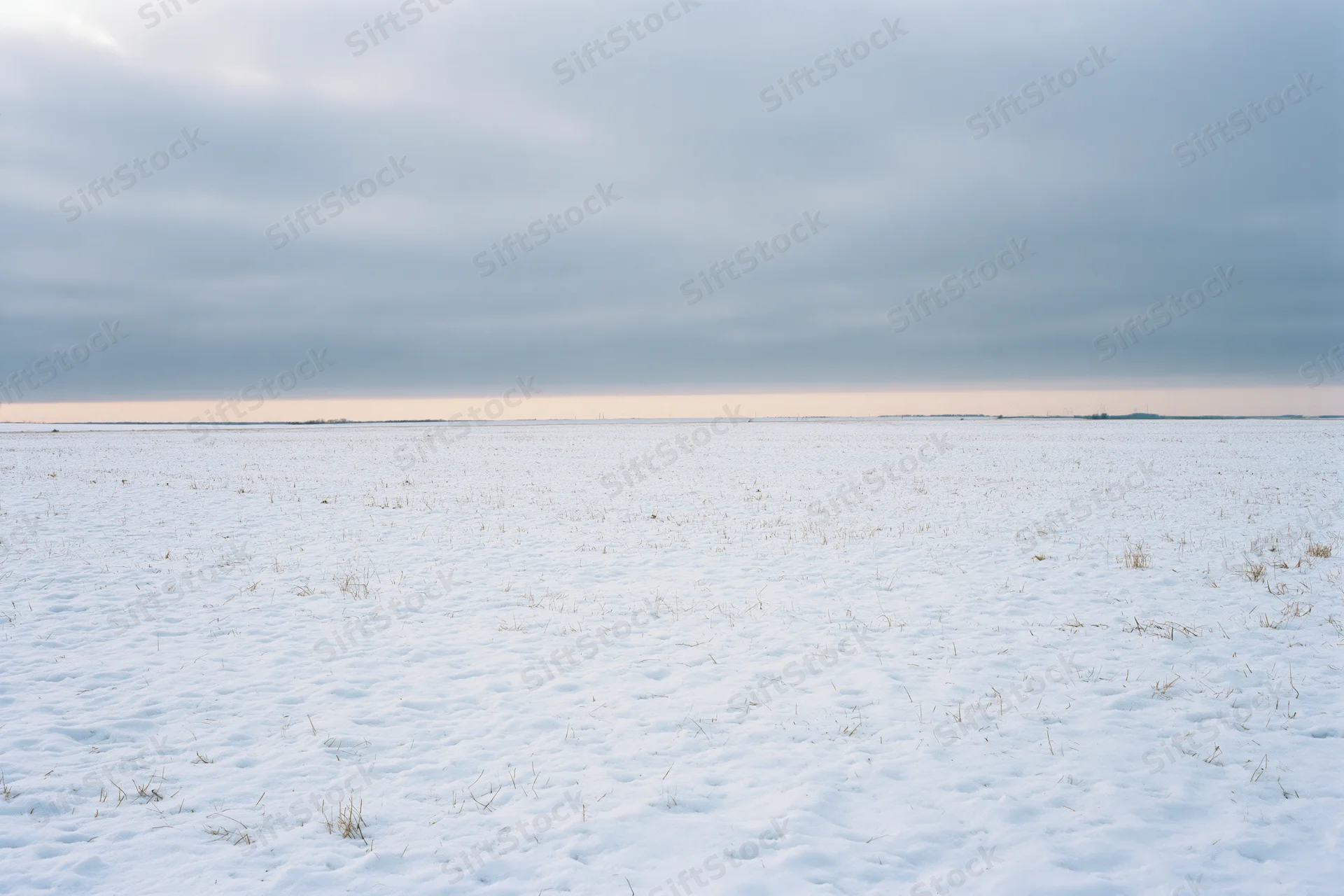 Snow-covered flat field stretching to the horizon under overcast sky