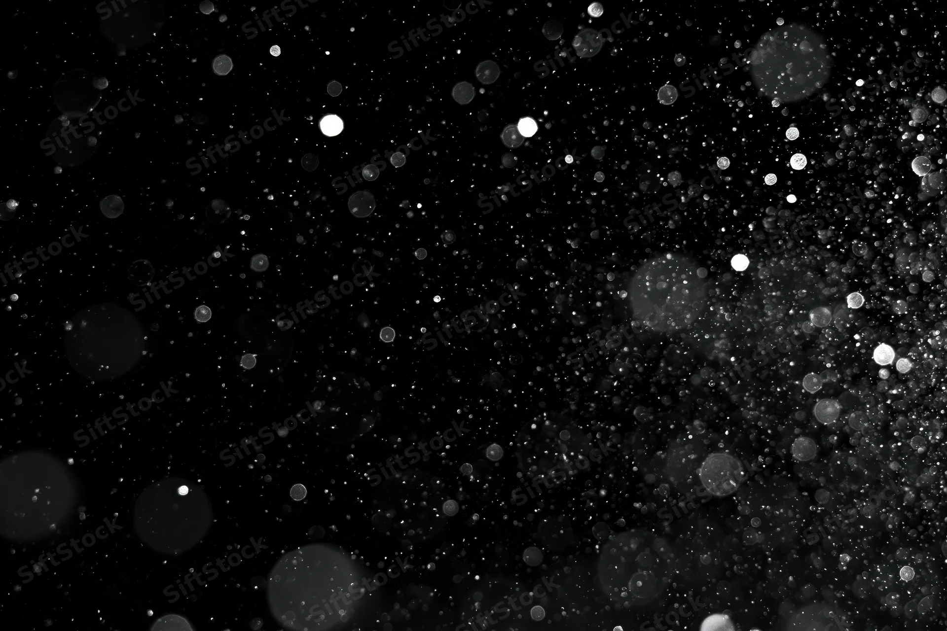 Water droplets and dust particles suspended in midair against a black background