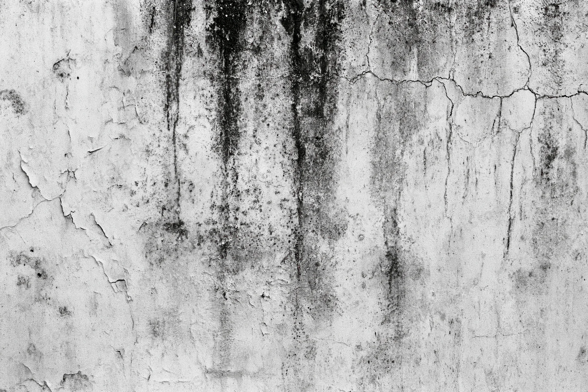 Weathered concrete wall surface with cracks and stains filling the frame