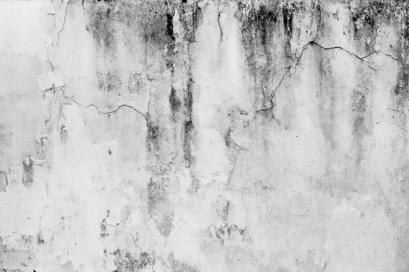 Weathered concrete wall surface with cracks and peeling paint filling the frame