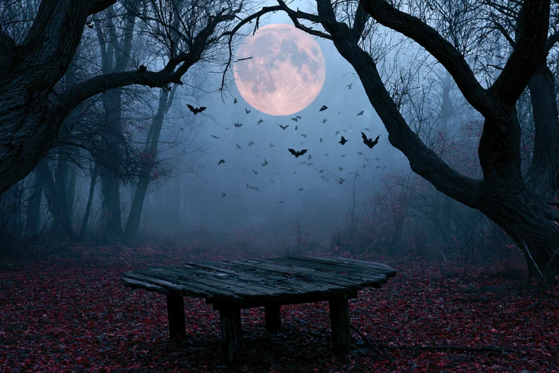 Weathered wooden table in a misty forest at night under a full moon with bats flying overhead
