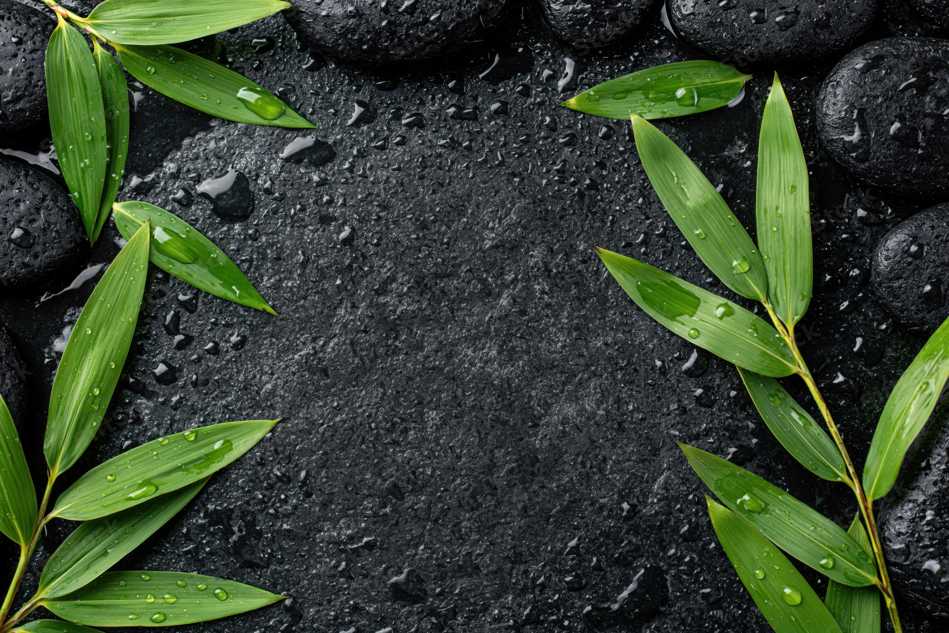 Fresh green bamboo leaves and wet black basalt stones arranged in a frame on a dark textured surface