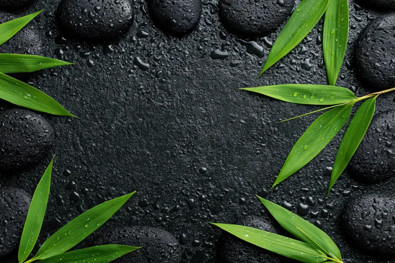 Wet black basalt stones and green bamboo leaves arranged in a frame on a dark surface with water droplets