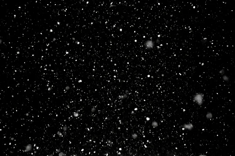 White snow particles and small snowflakes falling against a black background