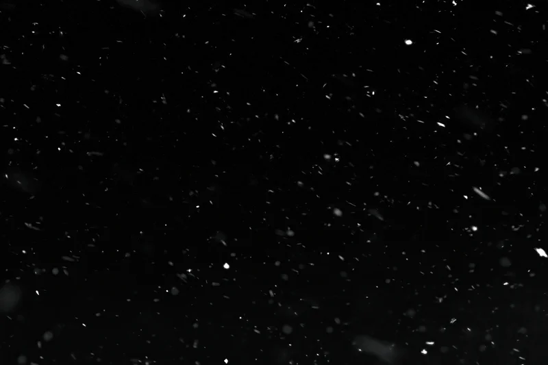 Snowflakes falling against a black background