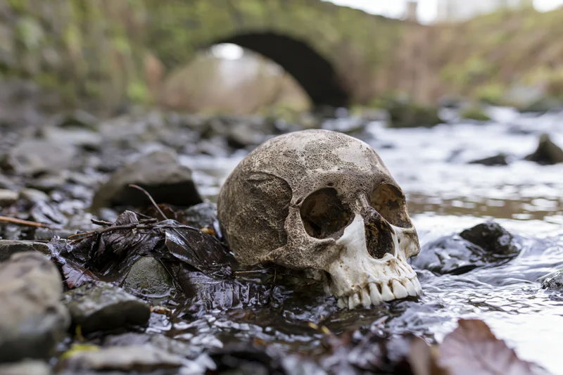 Human skull half-submerged in shallow rocky stream near stone bridge