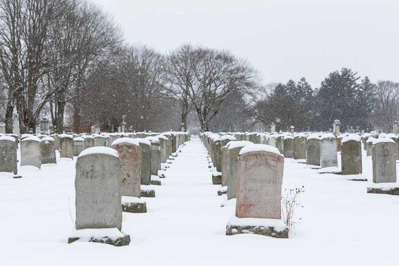 Snow-covered gravestones in rows along a path in a cemetery with bare trees in winter
