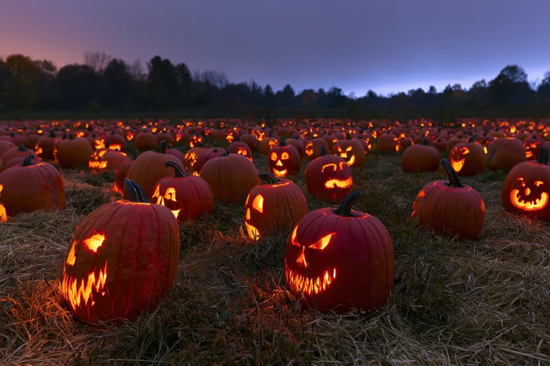 Carved jack-o-lanterns glowing in a hay-filled field at twilight