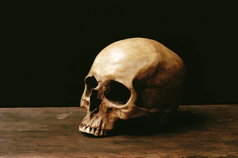 Human skull resting on worn wooden surface in dark setting