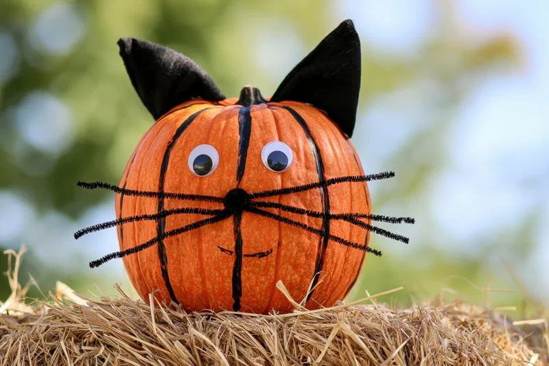 Orange ribbed pumpkin decorated as a cat face sitting on hay