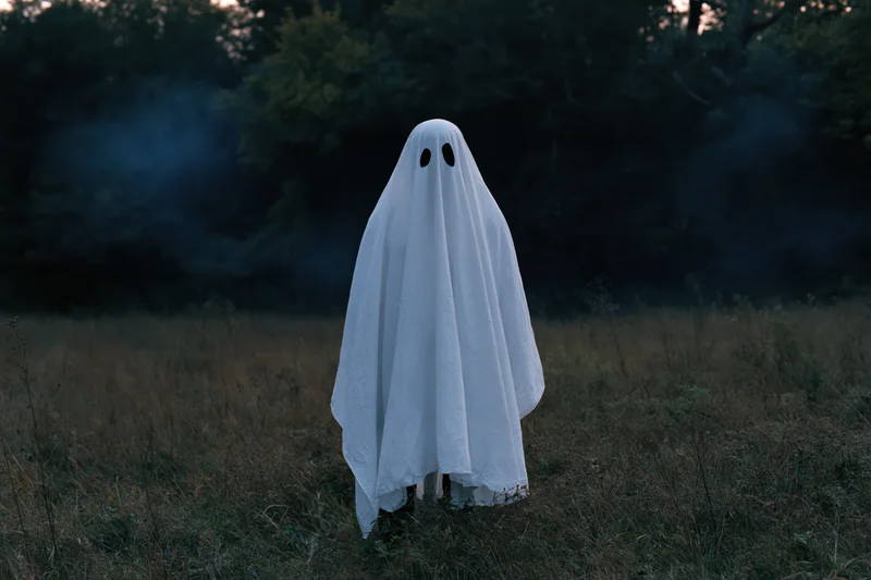 Person in white sheet ghost costume standing in a foggy field at dusk