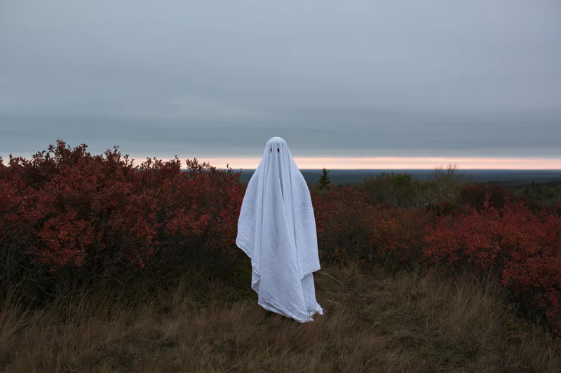 Ghost in white sheet costume standing still in autumn field at twilight
