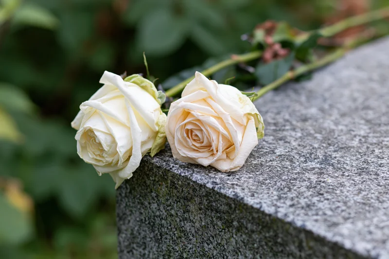 Two white roses resting on the edge of a granite tombstone in a cemetery
