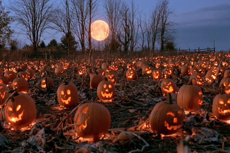 Carved pumpkins glowing in a field under a full moon at dusk