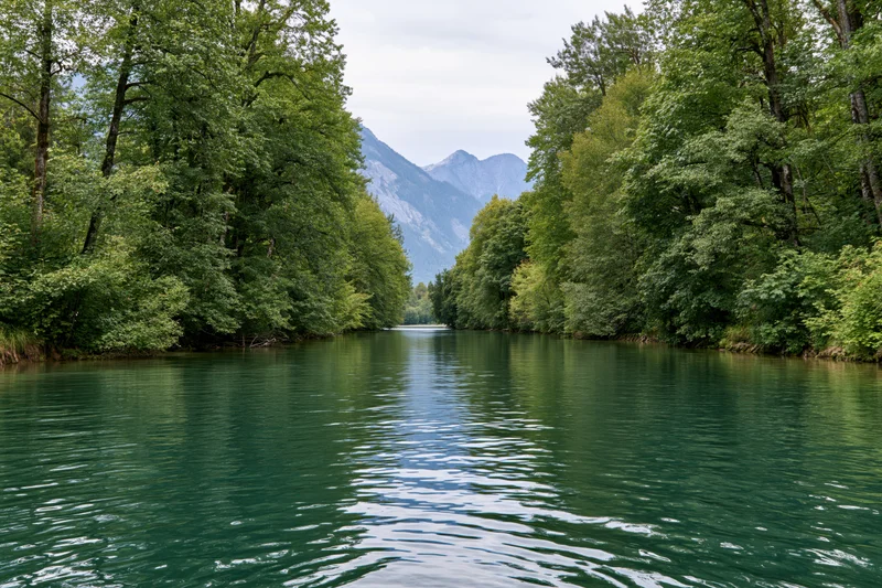 Calm river flowing through dense green forest toward distant mountains