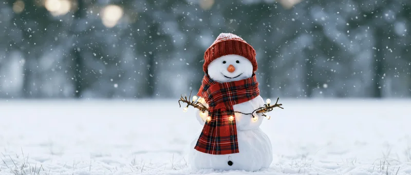 Cheerful snowman wearing red plaid scarf and hat with string lights in snowy field