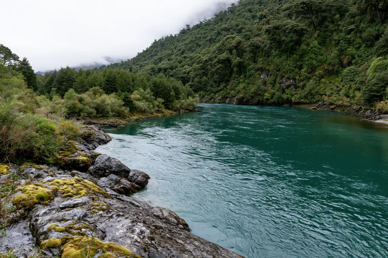 Glacial turquoise river flowing through dense forested valley in patagonia