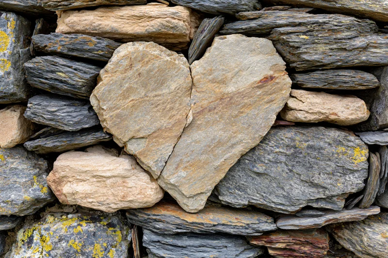 Heart-shaped stone formed by natural rock arrangement in a dry stone wall