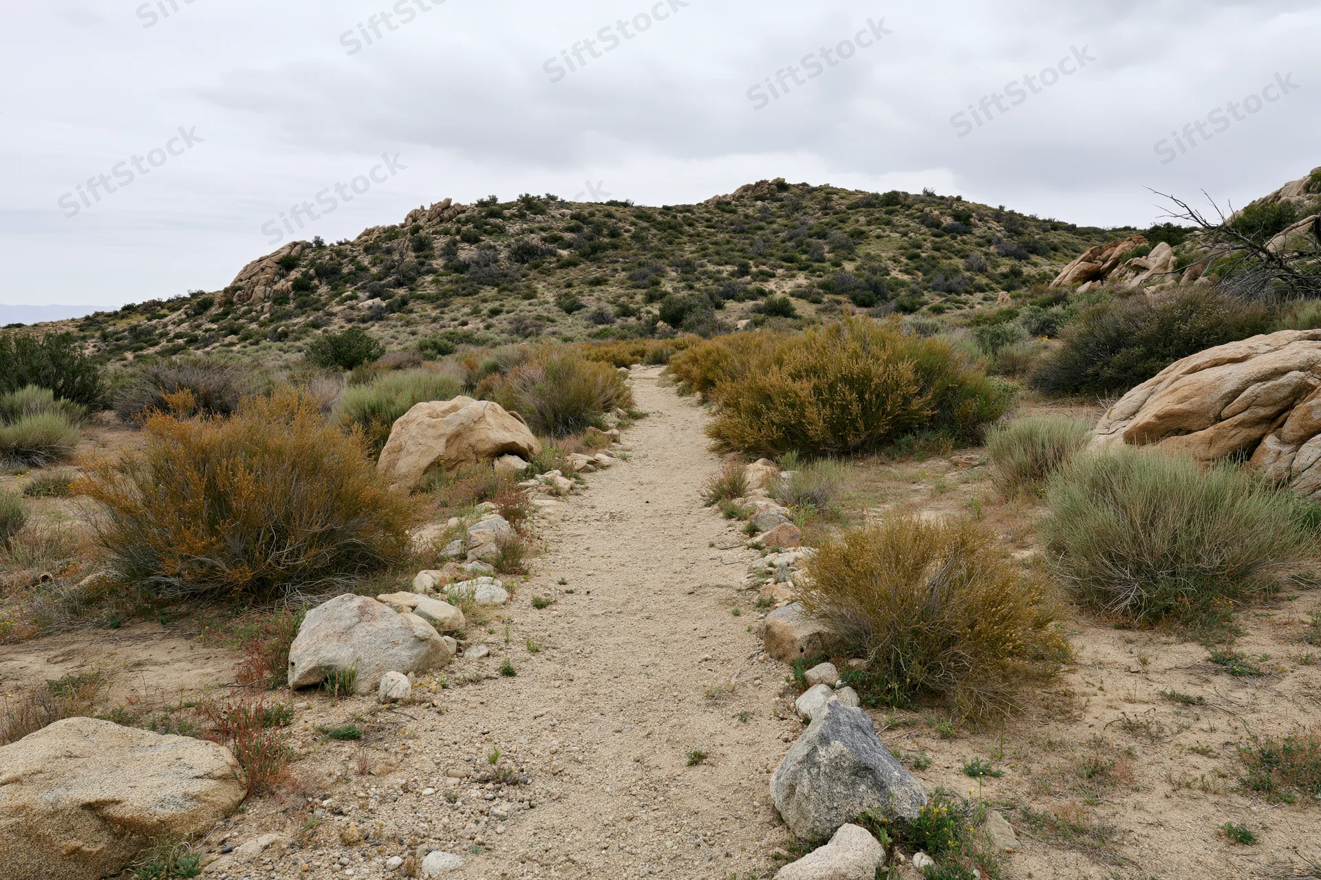 Gravel path winding through rocky scrubland under overcast sky
